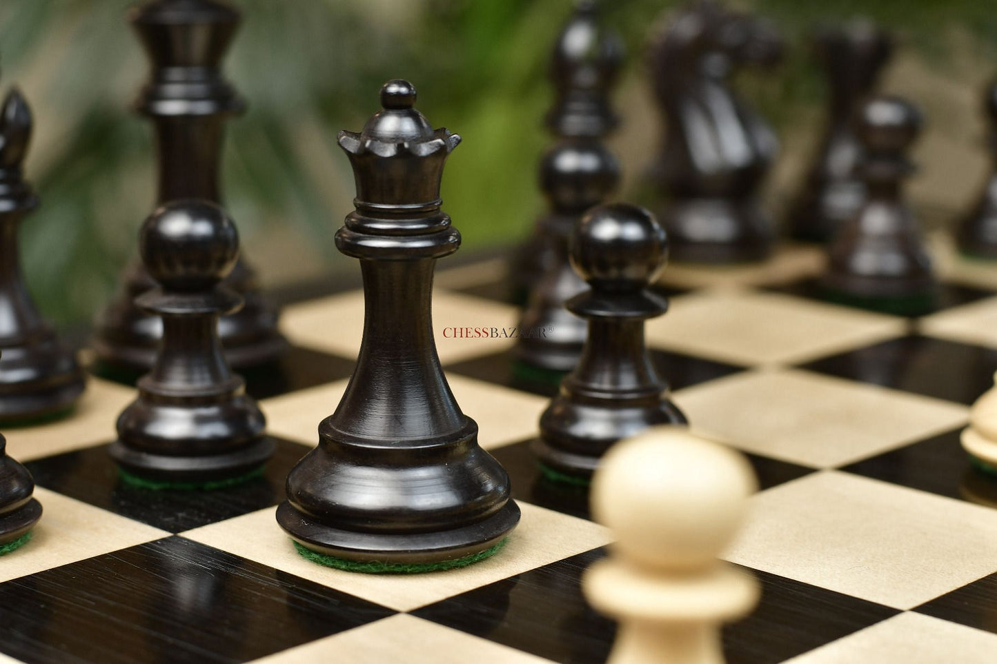 Combo of The Fierce Knight Staunton Chess Pieces in Indian Ebonized & Box Wood With Board & Box- 3.5" King