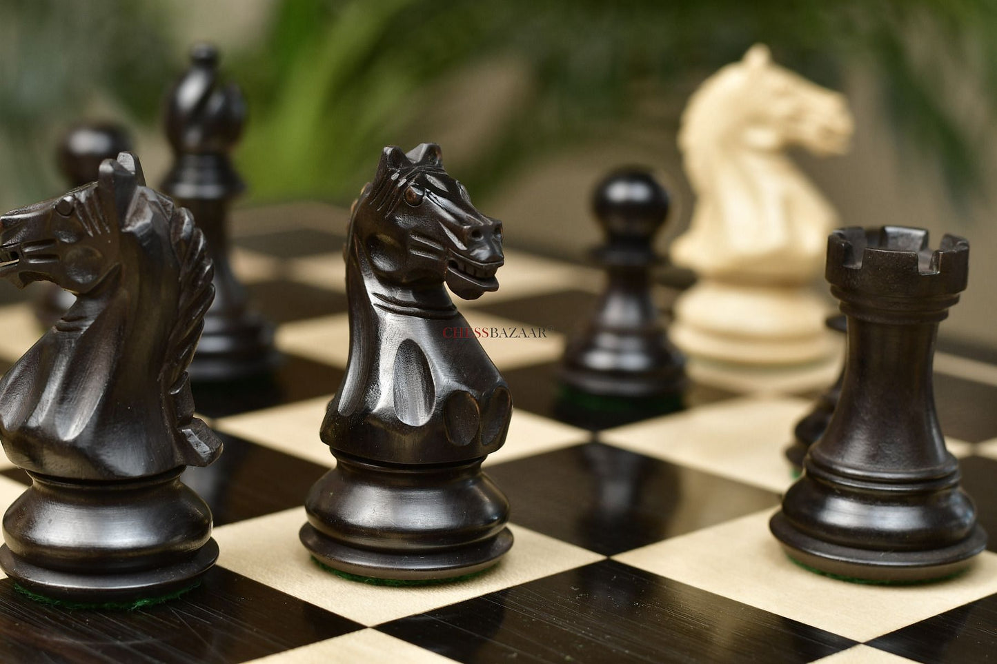 Combo of The Fierce Knight Staunton Chess Pieces in Indian Ebonized & Box Wood With Board & Box- 3.5" King