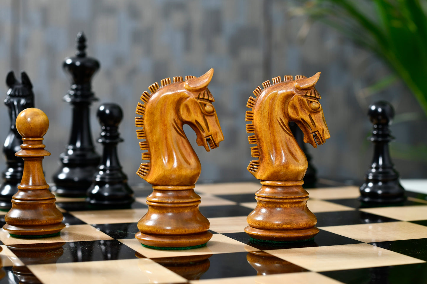 War Admiral Luxury Chess Pieces – 4.4" King – Handcrafted Staunton Design in Ebony Wood & Antiqued Boxwood