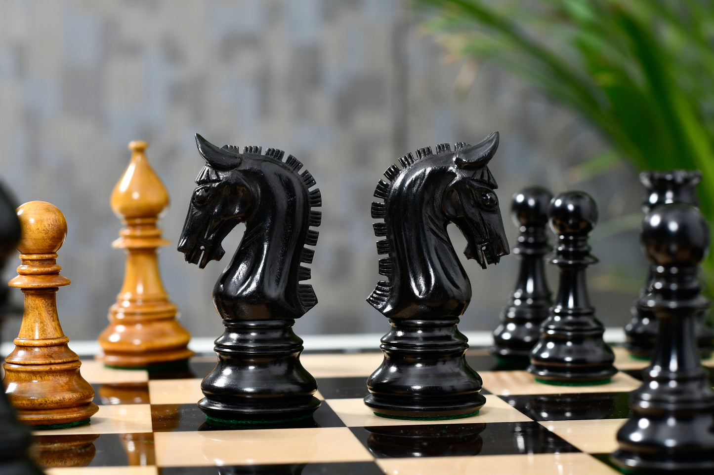 War Admiral Luxury Chess Pieces – 4.4" King – Handcrafted Staunton Design in Ebony Wood & Antiqued Boxwood