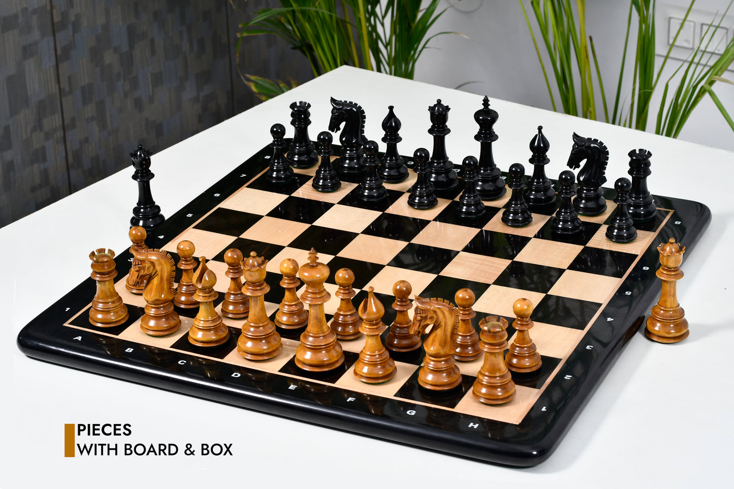 War Admiral Luxury Chess Pieces – 4.4" King – Handcrafted Staunton Design in Ebony Wood & Antiqued Boxwood
