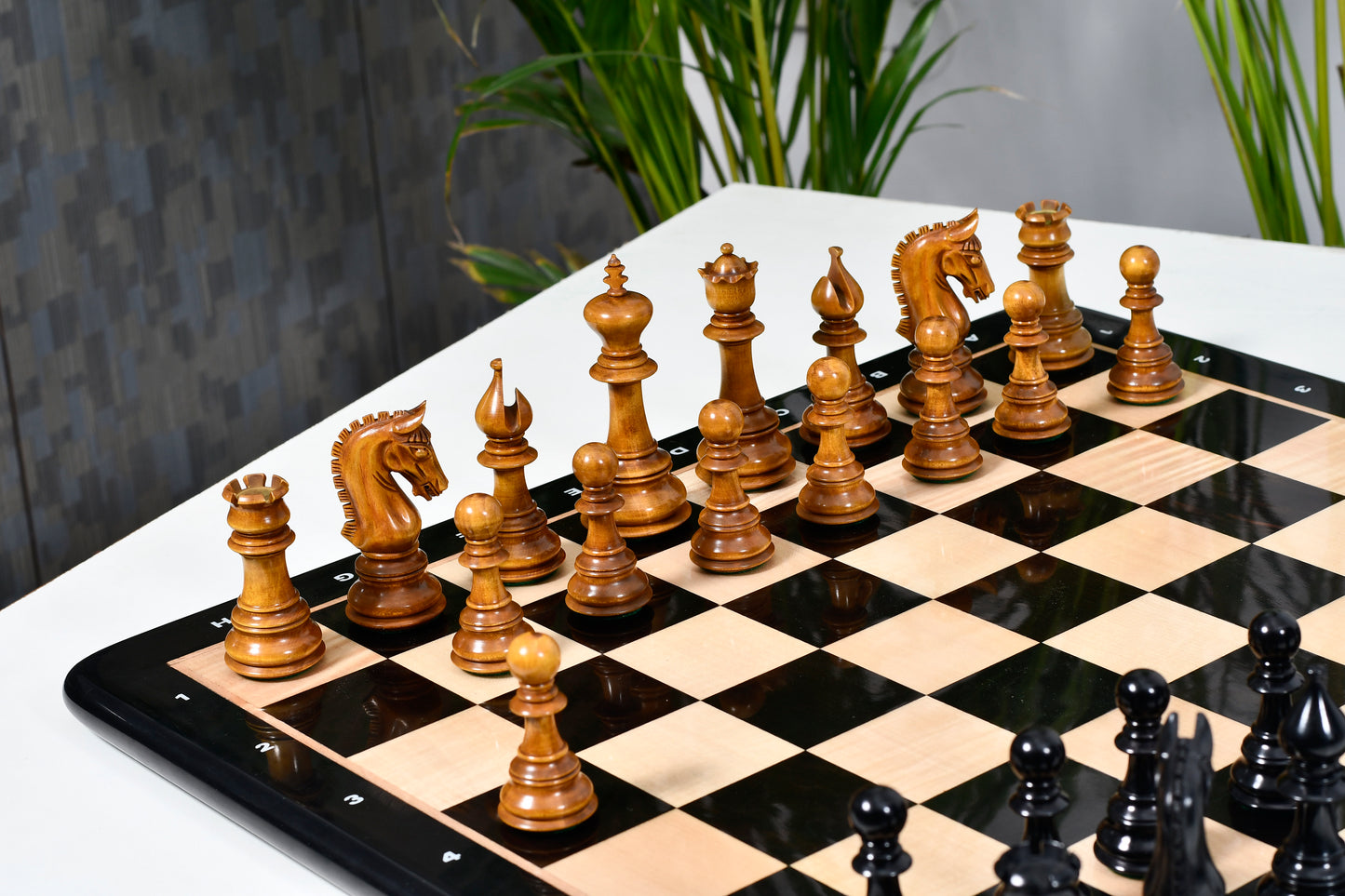 War Admiral Luxury Chess Pieces – 4.4" King – Handcrafted Staunton Design in Ebony Wood & Antiqued Boxwood