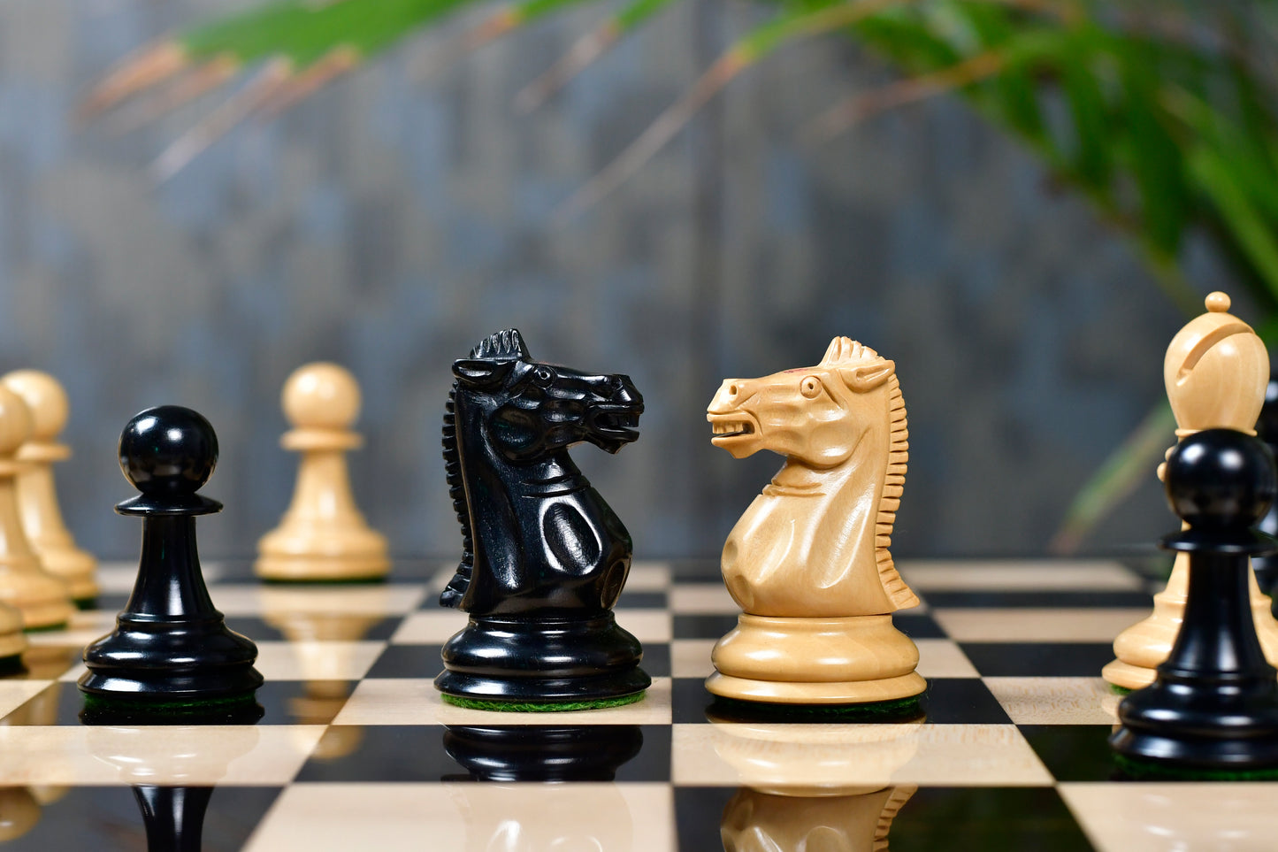 Vintage Reproduction of 1915-1925 Nimzovich Staunton Chess Pieces in Ebony & Boxwood – 3.75" King with King's Side Stamping