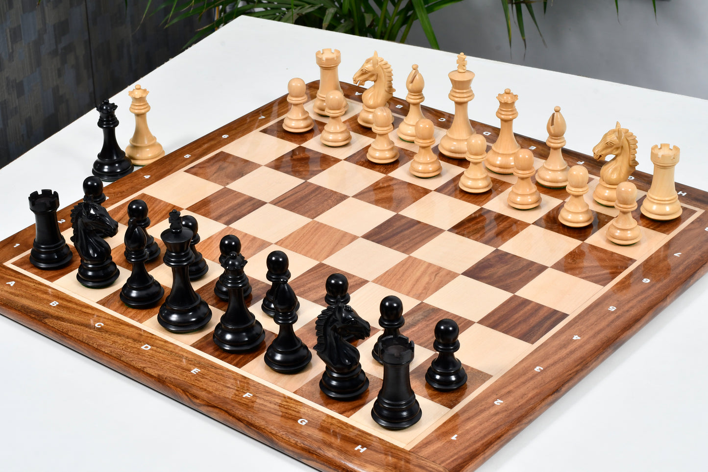 Derby Knight Chessmen in Ebonized Wood- 4.1" King with 21" Notation Board