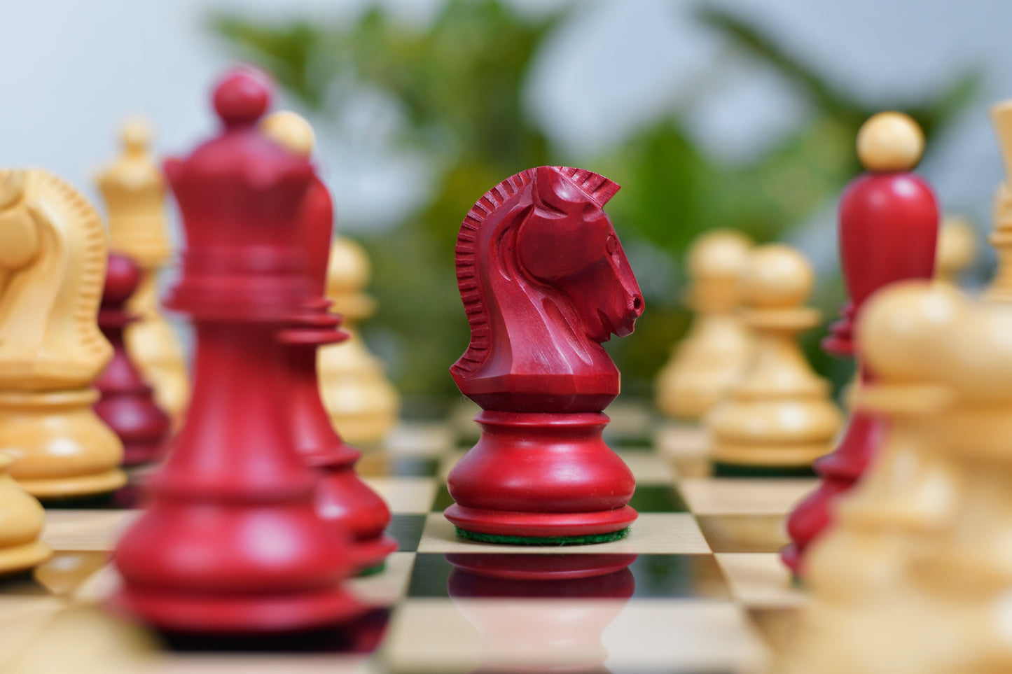 1950 Reproduced Dubrovnik Bobby Fischer Chessmen Version 3.0 in Stained Crimson Boxwood / Box Wood - 3.7" King
