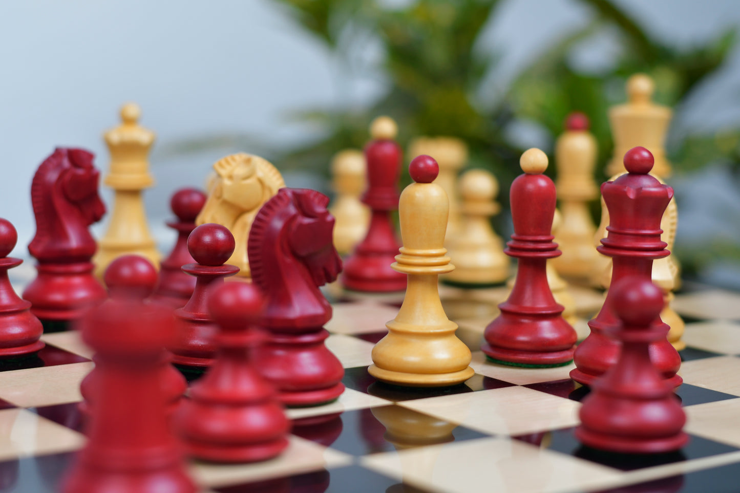 1950 Reproduced Dubrovnik Bobby Fischer Chessmen Version 3.0 in Stained Crimson Boxwood / Box Wood - 3.7" King