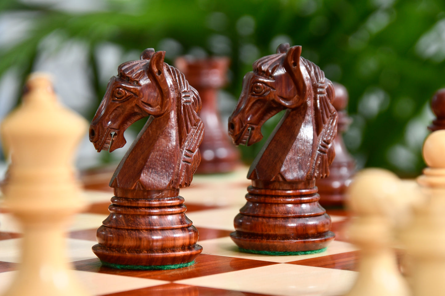 Combo The New Columbian Staunton Series Chess Pieces in Bud Rose Wood & Box wood - 3.8" King with Wooden Chess Board