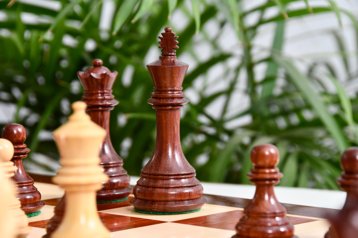 Combo The New Columbian Staunton Series Chess Pieces in Bud Rose Wood & Box wood - 3.8" King with Wooden Chess Board