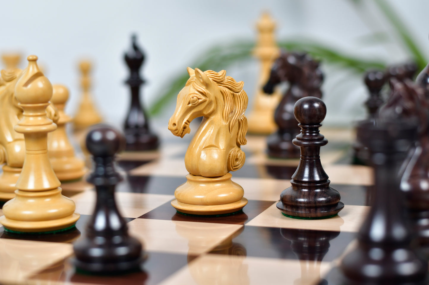 The Shera Series Staunton Weighted Chess Pieces V2.0 in Rosewood / Boxwood - 4.5" King