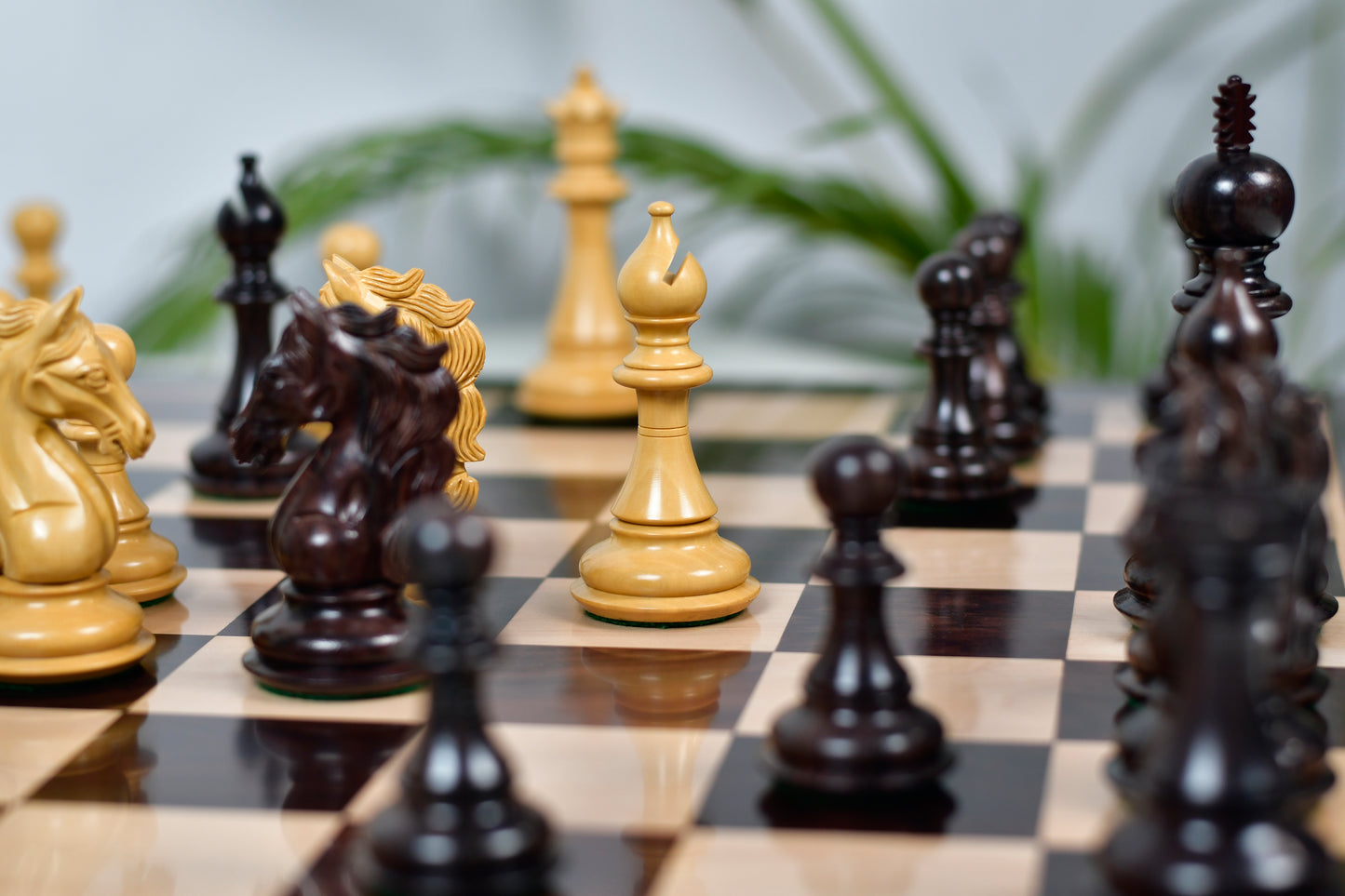 The Shera Series Staunton Weighted Chess Pieces V2.0 in Rosewood / Boxwood - 4.5" King