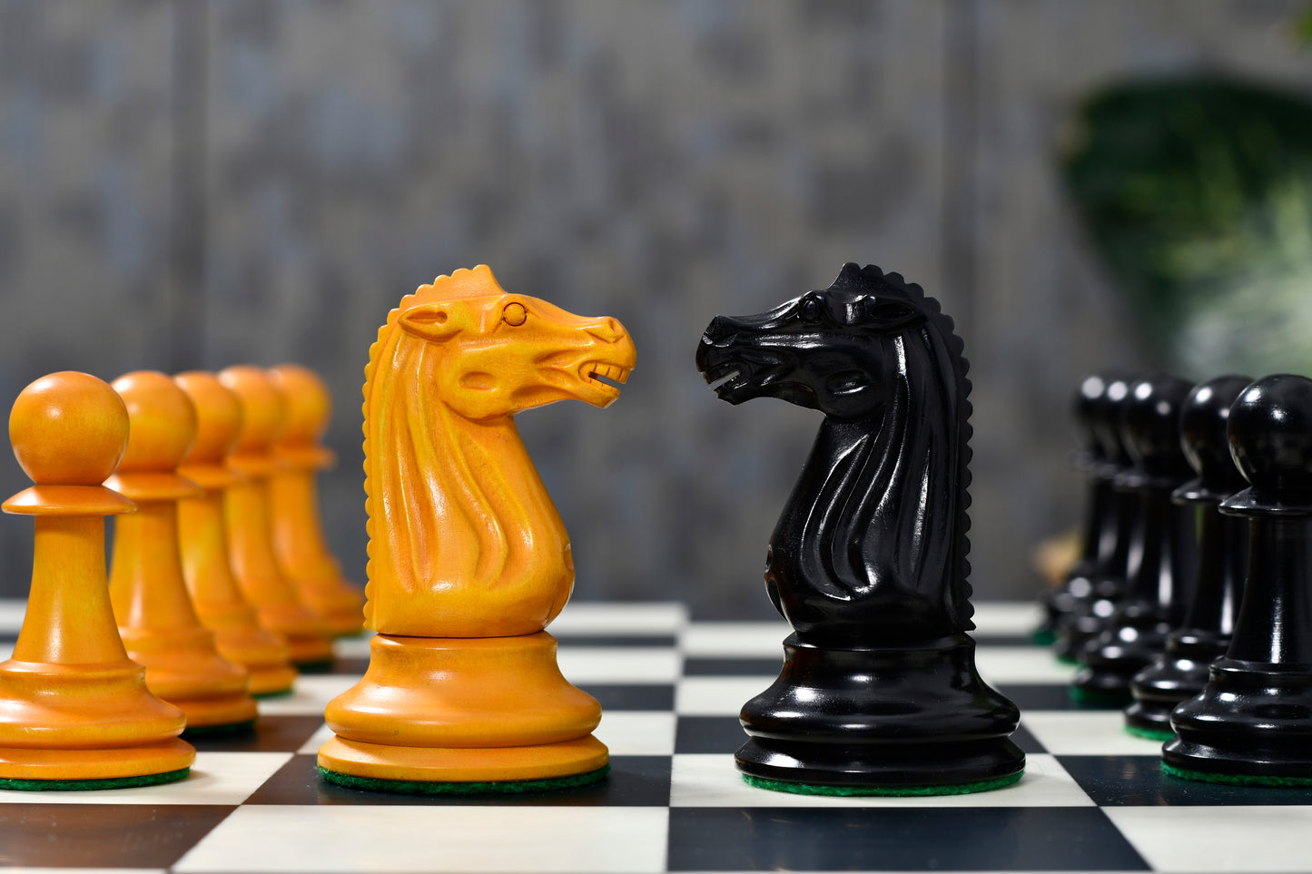 Circa 1887 Turner Teich Soviet-Staunton Style Weighted 4" Chess Pieces in Ebony & Golden Antique Boxwood