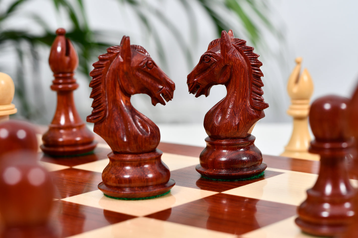 Derby Knight Chess Pieces in Bud Rosewood/Boxwood - 4.1" King with Board