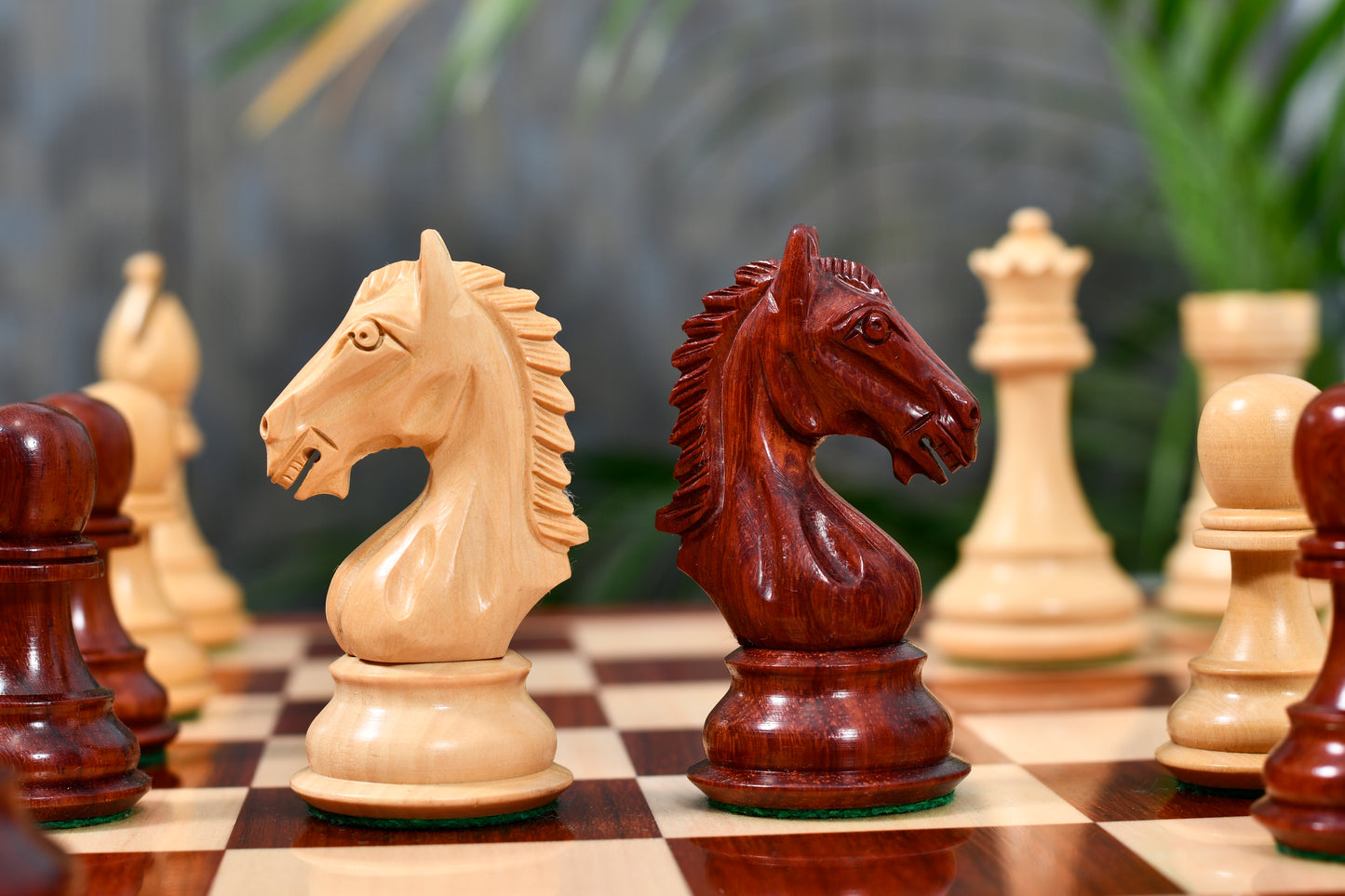 Derby Knight Chess Pieces in Bud Rosewood/Boxwood - 4.1" King with Board