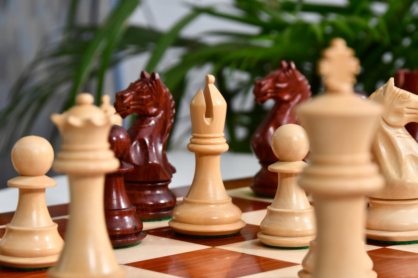 Combo Fierce Knight Staunton Series Chess Pieces in Bud Rosewood & Box Wood - 4.0" King with Chess Board