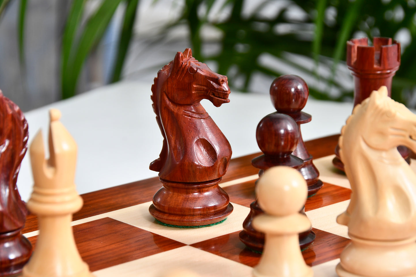 Combo Fierce Knight Staunton Series Chess Pieces in Bud Rosewood & Box Wood - 4.0" King with Chess Board