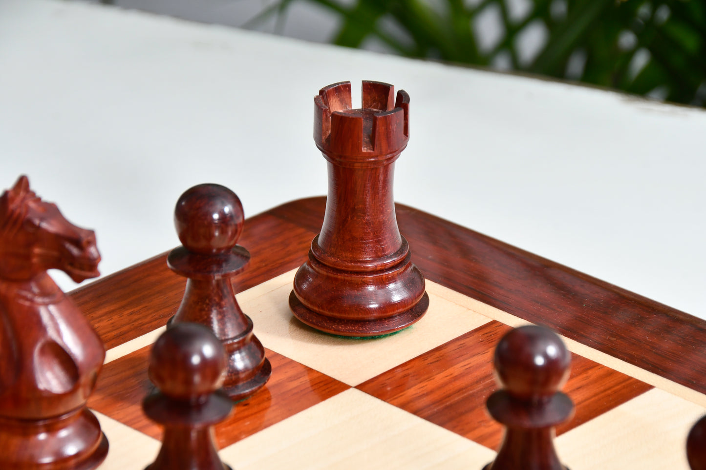 Combo Fierce Knight Staunton Series Chess Pieces in Bud Rosewood & Box Wood - 4.0" King with Chess Board