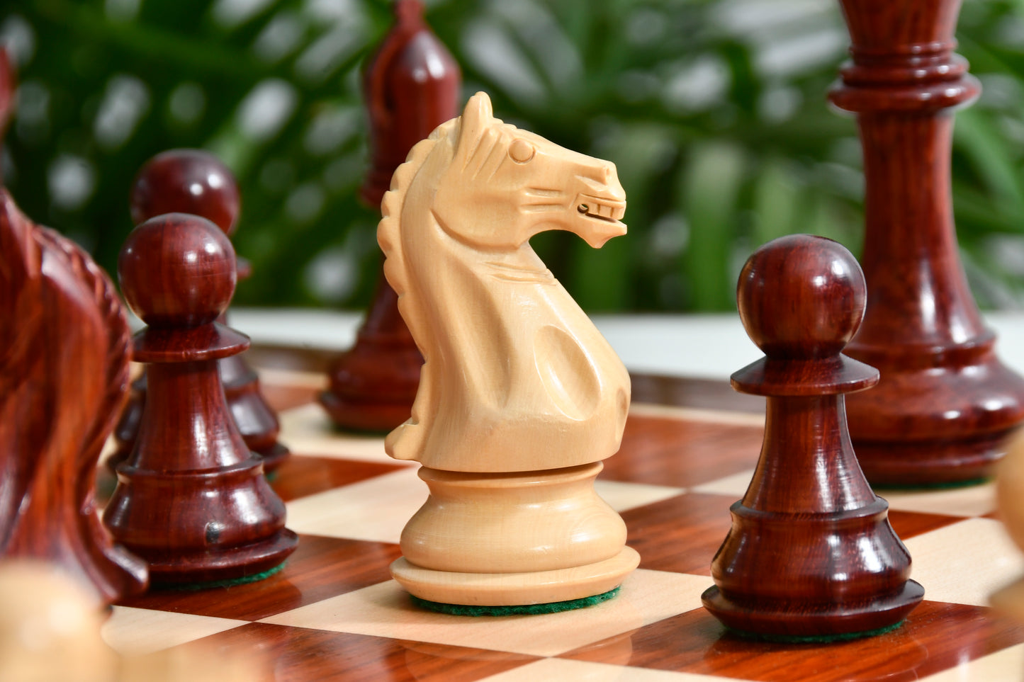 Combo Fierce Knight Staunton Series Chess Pieces in Bud Rosewood & Box Wood - 4.0" King with Chess Board