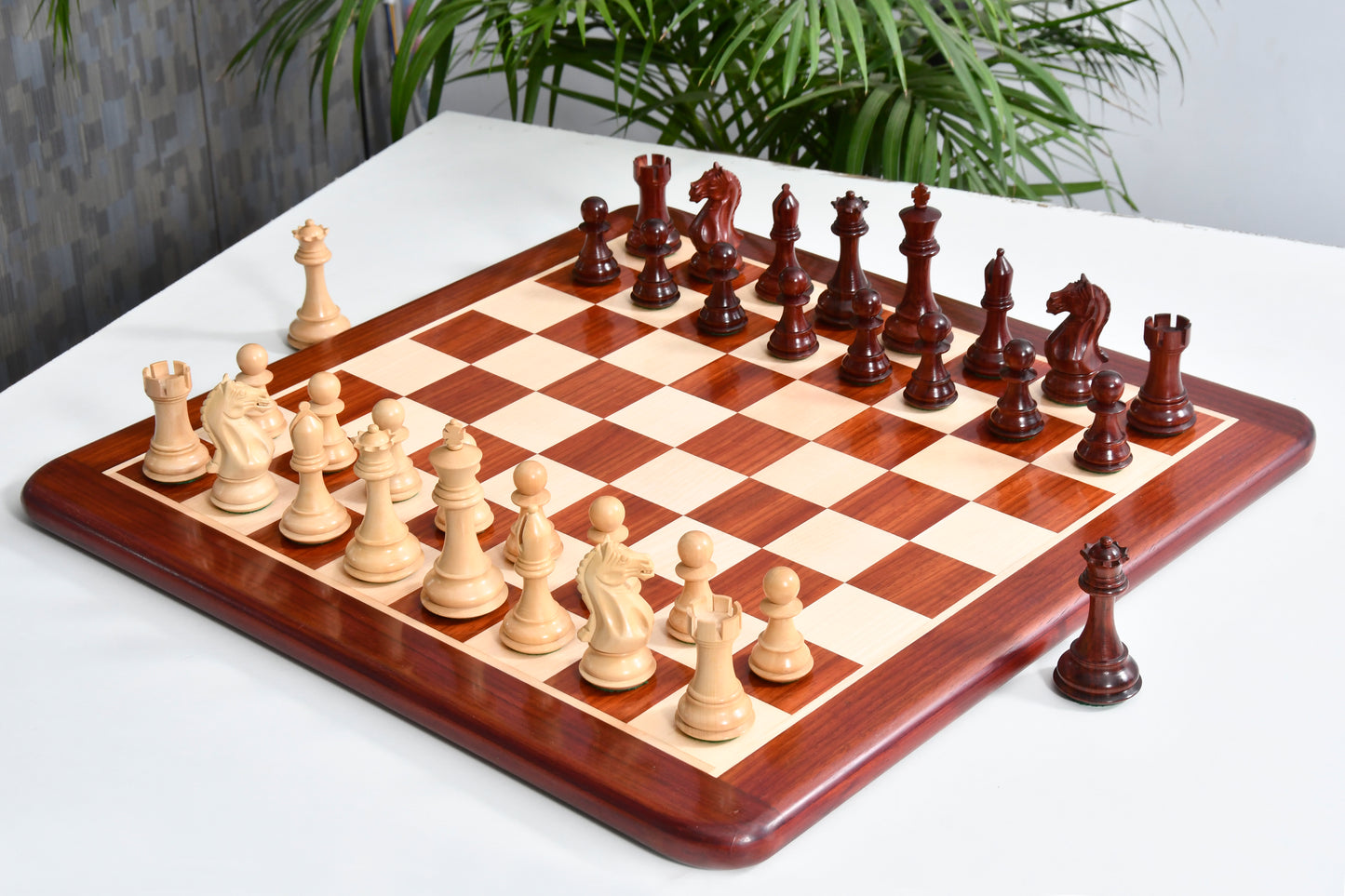 Combo Fierce Knight Staunton Series Chess Pieces in Bud Rosewood & Box Wood - 4.0" King with Chess Board