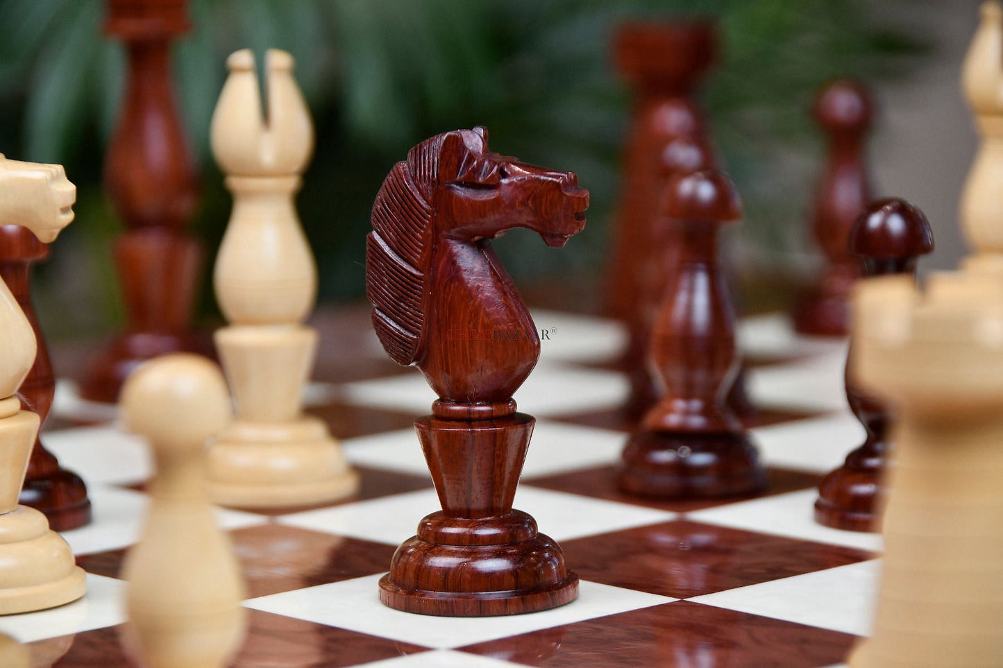 Combo of The Grand Divan Chess Pieces from Simpson's-in-the-Strand in Bud Rosewood & Boxwood with Board & Storage box-4.2" King w/ Extra Queens