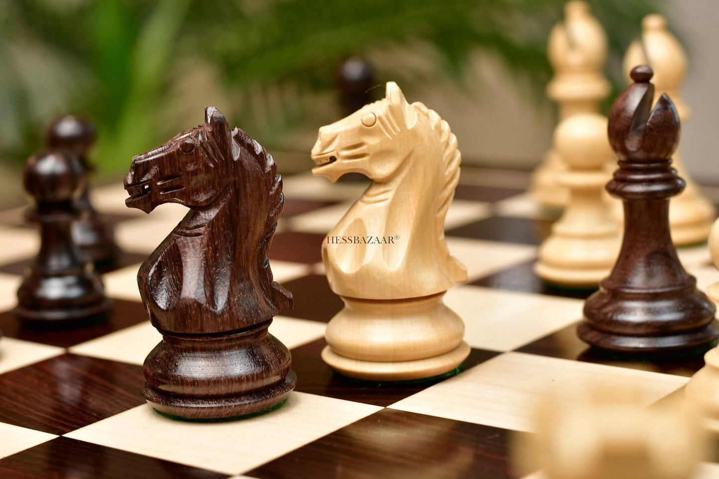 Combo of The Fierce Knight Staunton Chess Pieces in Indian Rosewood & Box Wood With Board & Box- 3.5" King