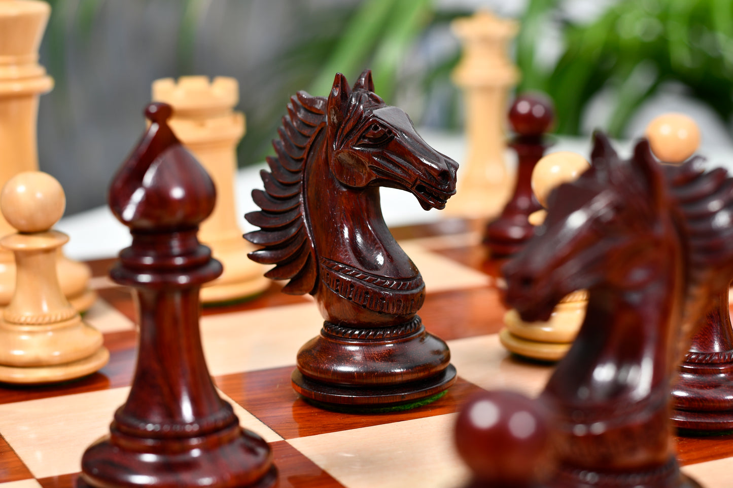 Combo of The Cb Mustang Series Weighted Chess Pieces in Bud Rose / Box Wood - 4.4" King With Extra Queens With Wooden Notation Chess Board