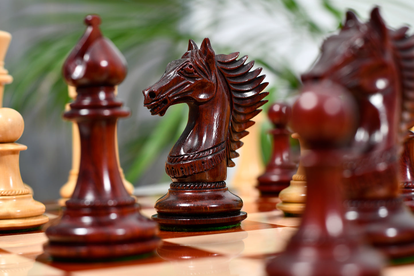 Combo of The Cb Mustang Series Weighted Chess Pieces in Bud Rose / Box Wood - 4.4" King With Extra Queens With Wooden Notation Chess Board