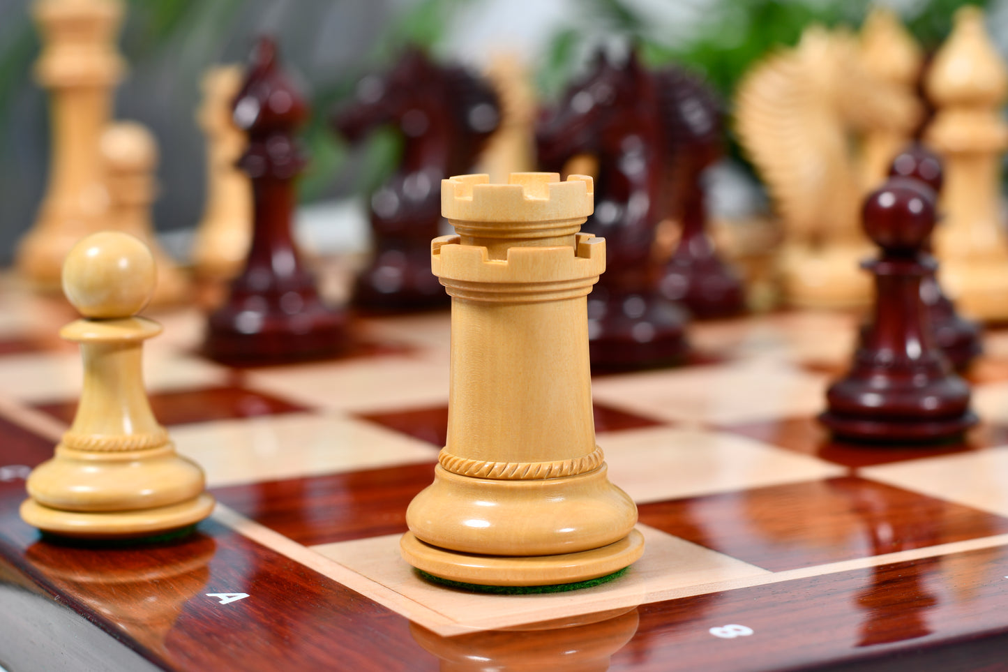 Combo of The Cb Mustang Series Weighted Chess Pieces in Bud Rose / Box Wood - 4.4" King With Extra Queens With Wooden Notation Chess Board