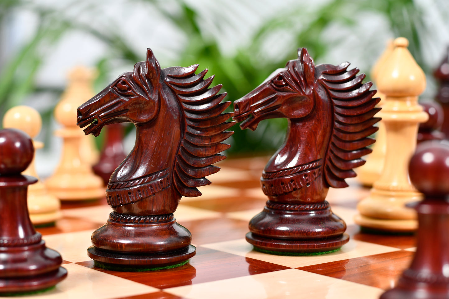 Combo of The Cb Mustang Series Weighted Chess Pieces in Bud Rose / Box Wood - 4.4" King With Extra Queens With Wooden Notation Chess Board