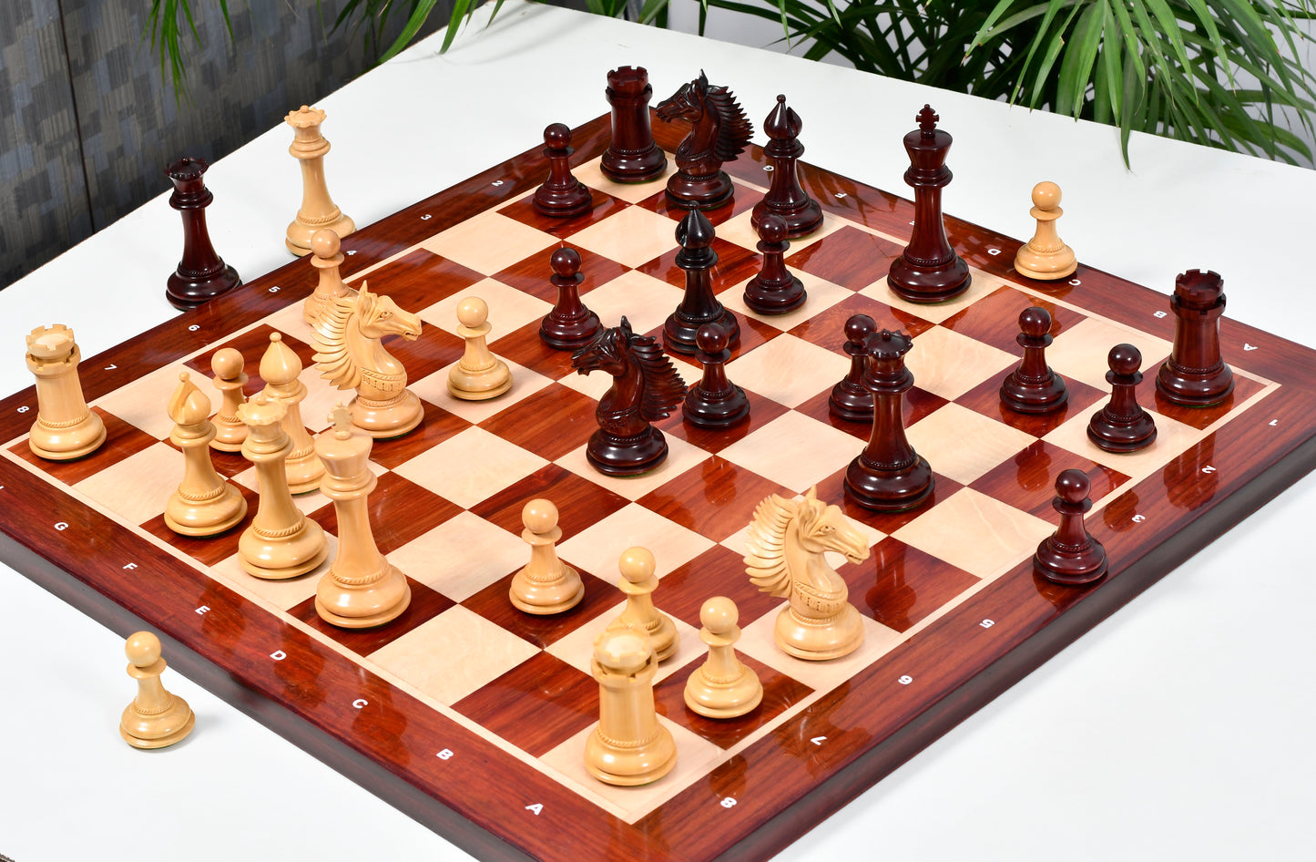 Combo of The Cb Mustang Series Weighted Chess Pieces in Bud Rose / Box Wood - 4.4" King With Extra Queens With Wooden Notation Chess Board