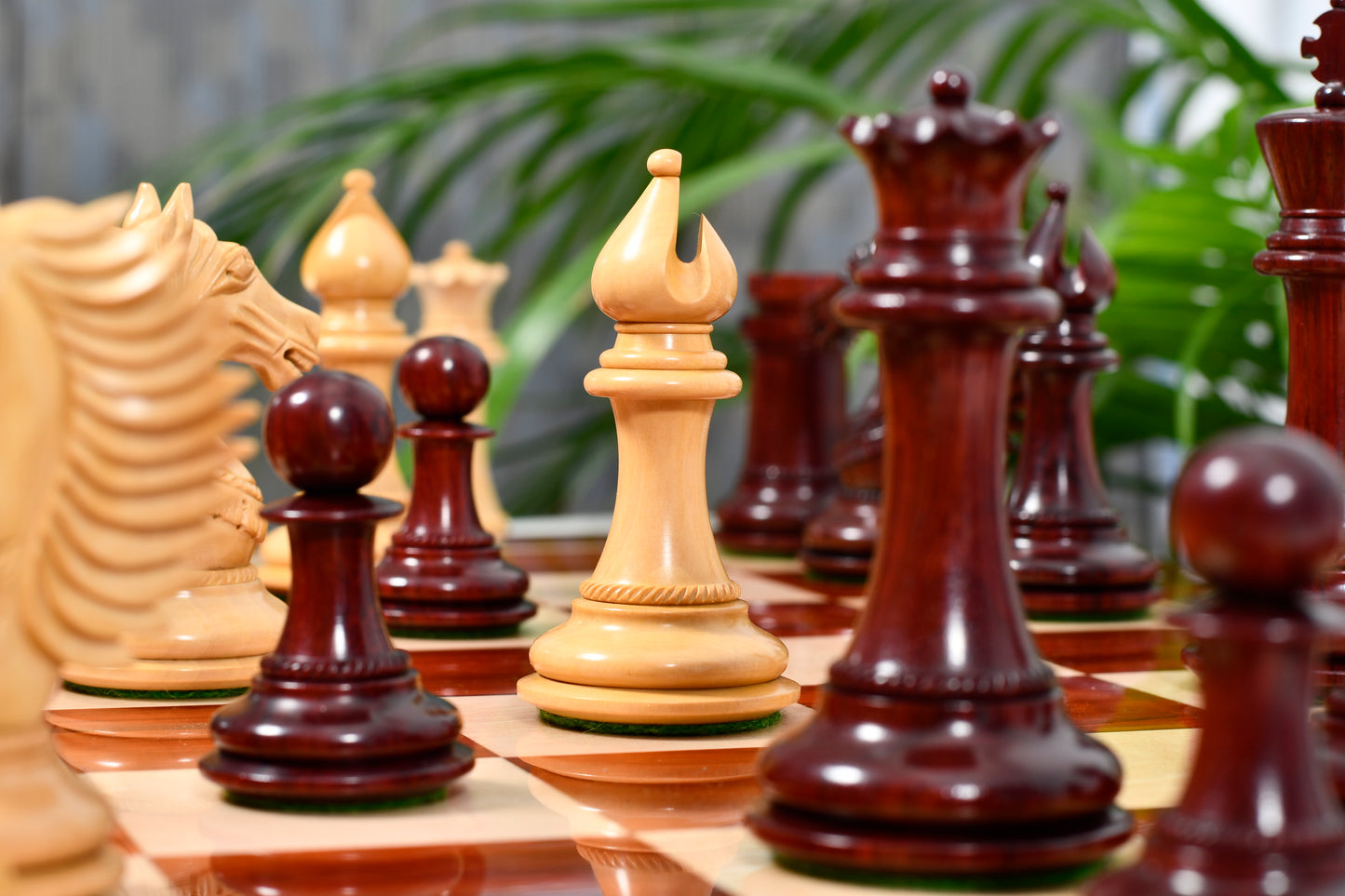 Combo of The Cb Mustang Series Weighted Chess Pieces in Bud Rose / Box Wood - 4.4" King With Extra Queens With Wooden Notation Chess Board