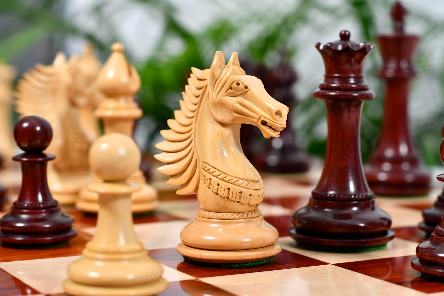 Combo of The Cb Mustang Series Weighted Chess Pieces in Bud Rose / Box Wood - 4.4" King With Extra Queens With Wooden Notation Chess Board